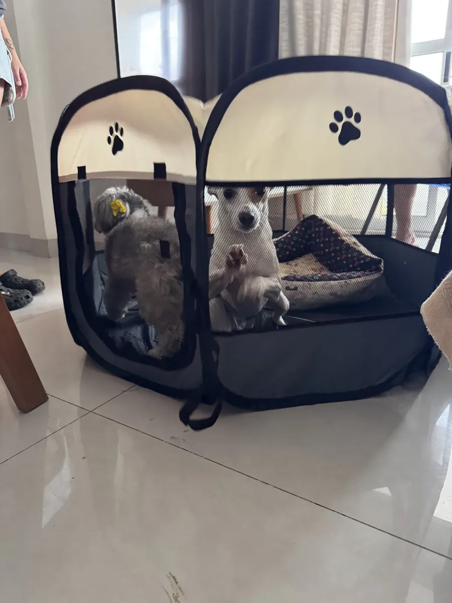 Foto de cliente 4